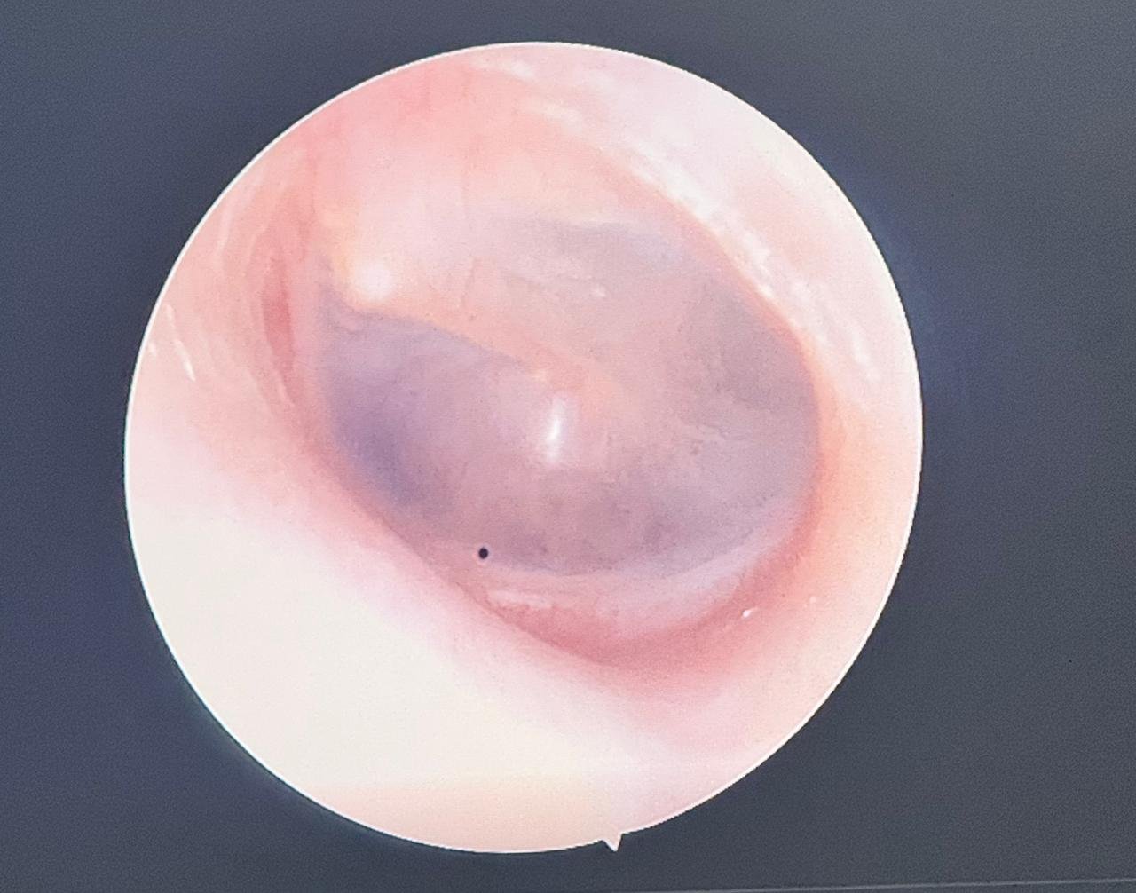 WhatsApp Image 2026-02-02 at 11.13.16